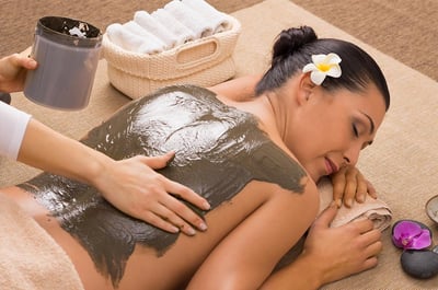 Vitalica Wellness Clay Wrap