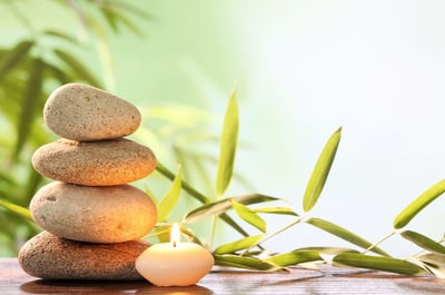 Wellness