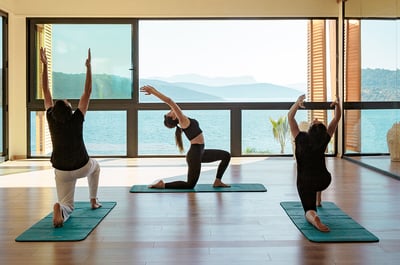 What is Wellness?