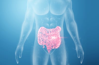 Intestinal Elixir
