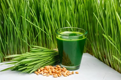 HERBES VASTI / CAFÉ / EAU D'HERBE / OZONE ENNEMA
