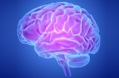 Brain Elixir