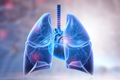 Lung Elixir