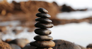 A Day at Vitalica Wellness