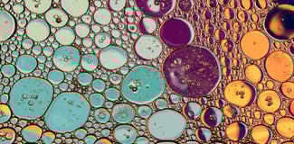 What Do We Know About Candida Fungus?