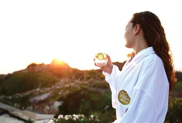 Detox & Wellness Programs